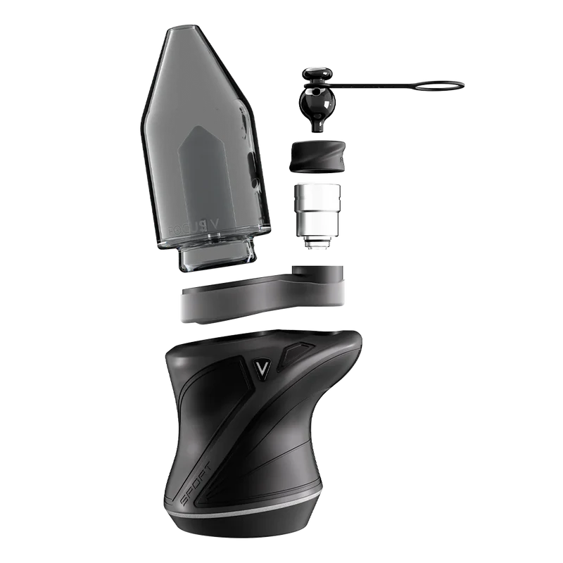 Carta Sport (4 Colors)