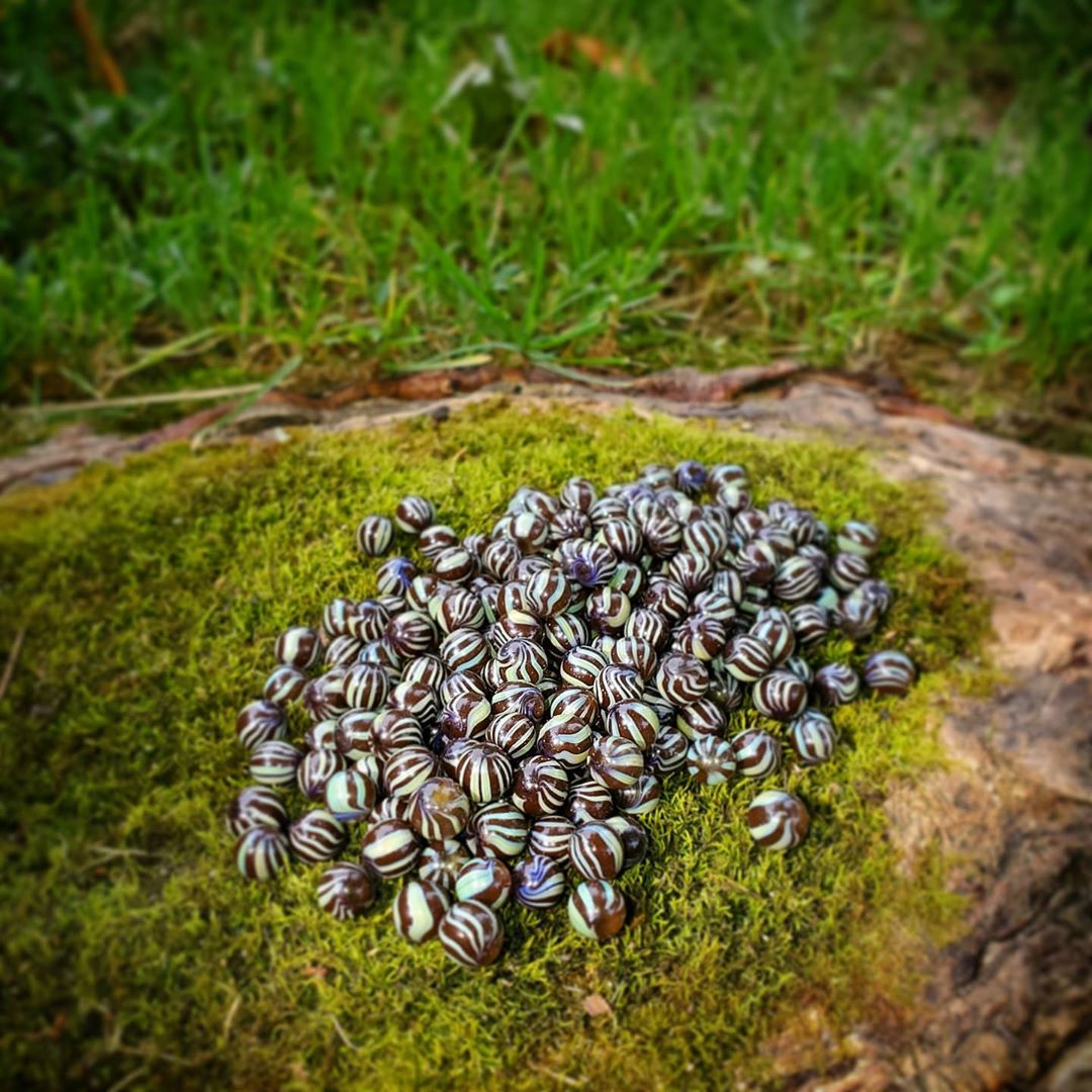 Chad G Wood Grain Pearls