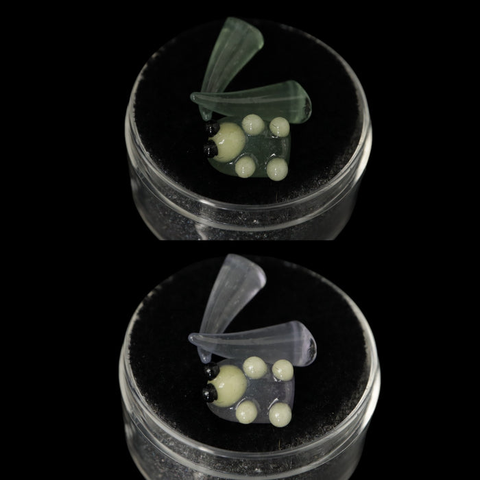 Terp Fang/Larva Sets by Chase Glass