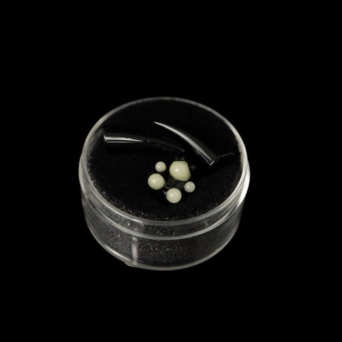 Terp Fang/Larva Sets by Chase Glass