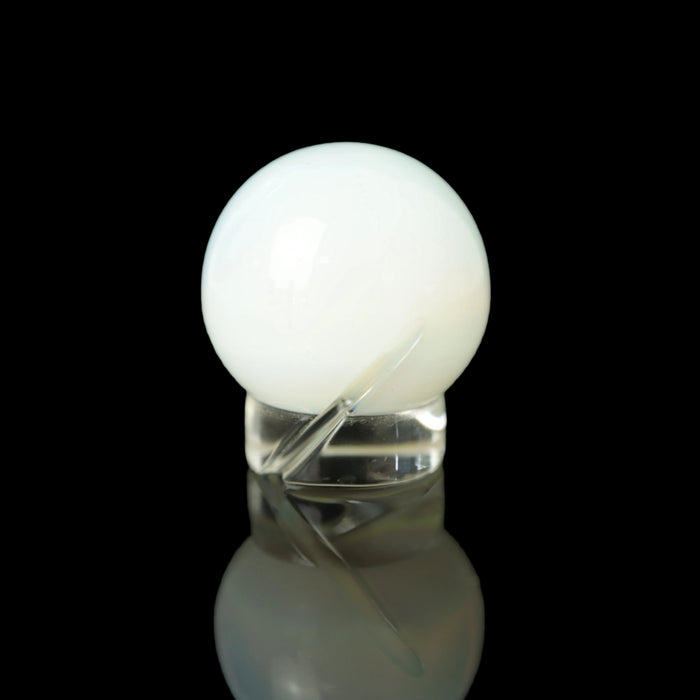 Color Spinner Marble by OTP