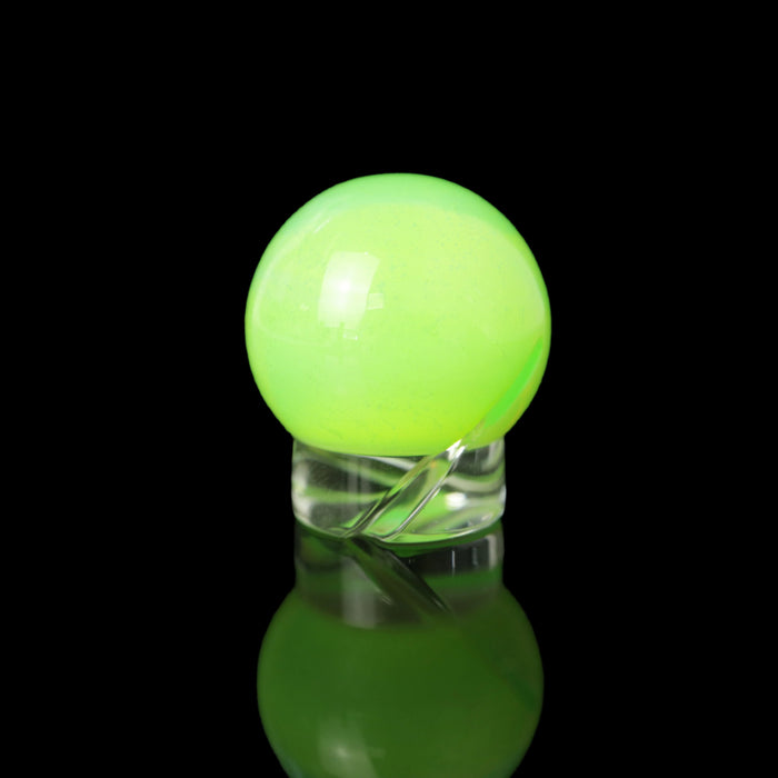 Color Spinner Marble by OTP