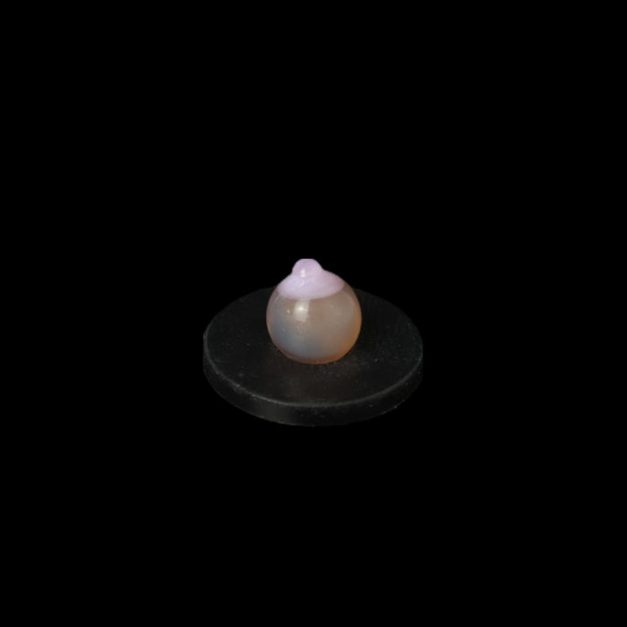 Naughty Terp Pearls by Ms Meow