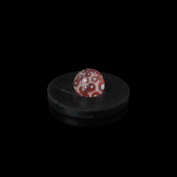 Milli Terp Pearls by Peterthedoge