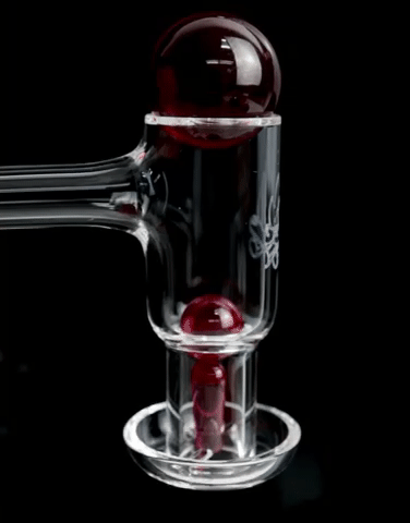 V2 Slurper *Free 5mm Ruby Pearl*
