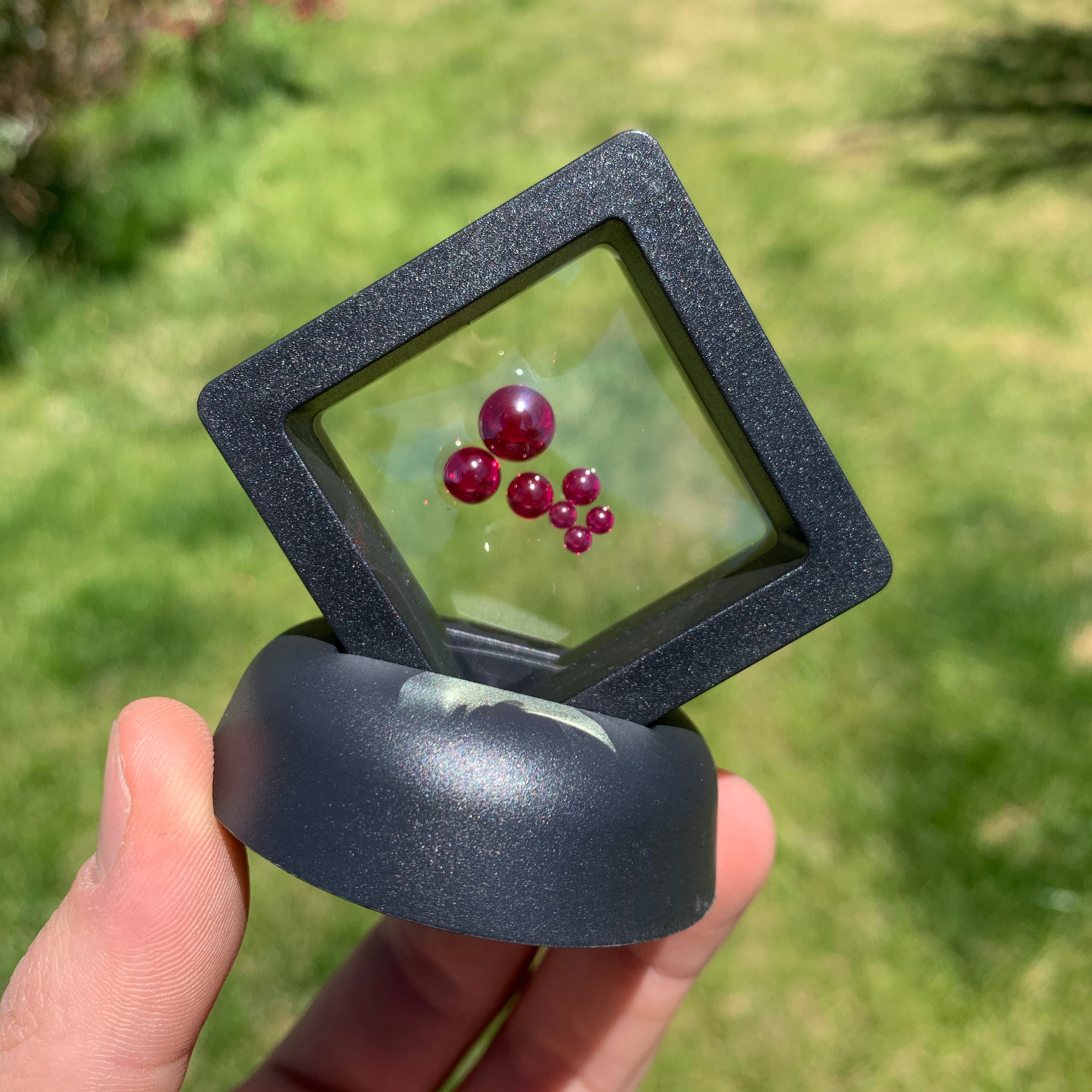 Pearl Collectors Display With Stand