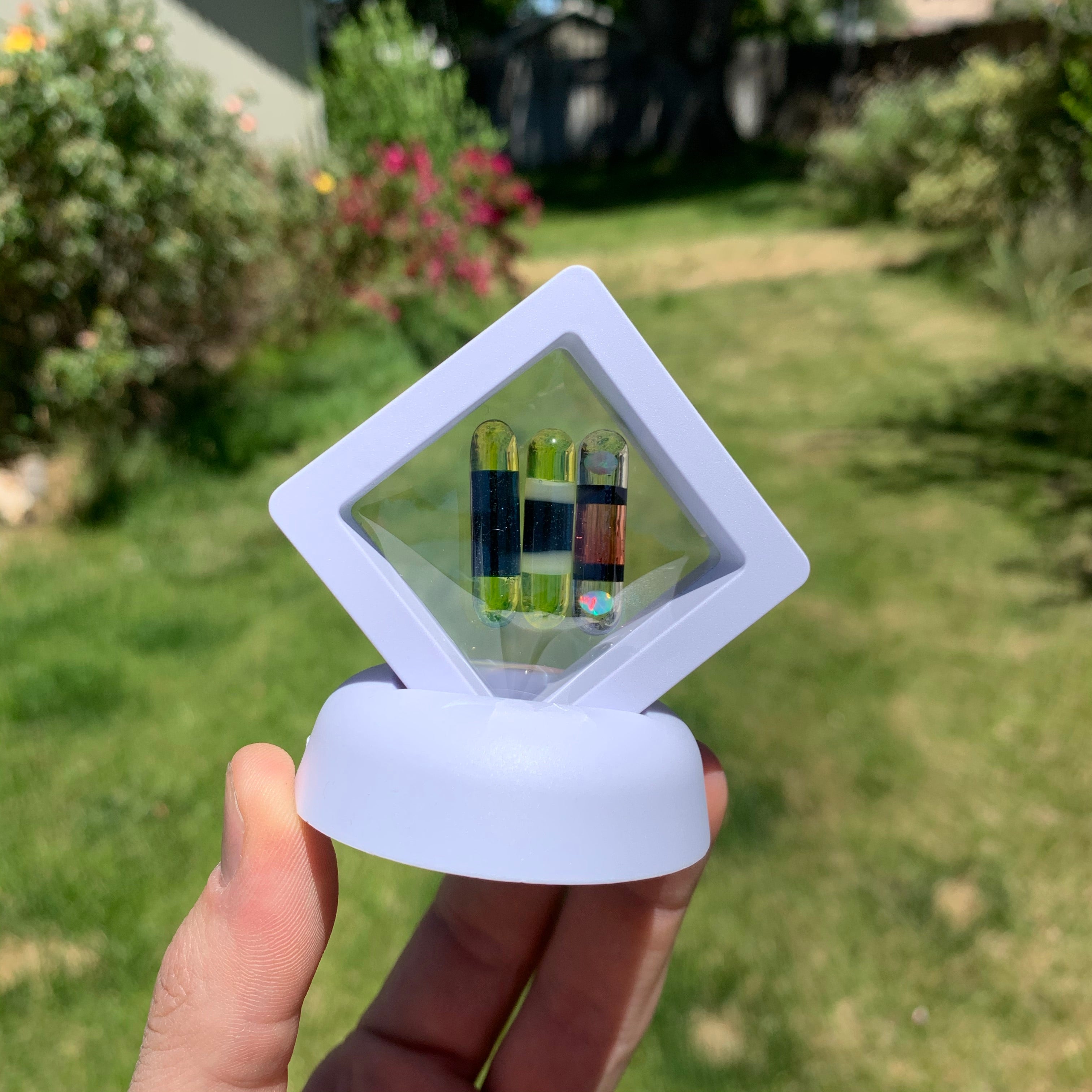 Pearl Collectors Display With Stand